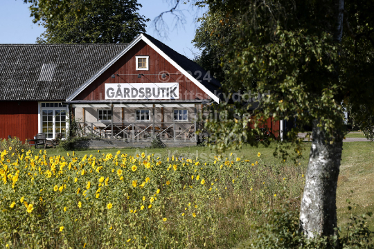 gardsbutikka08201