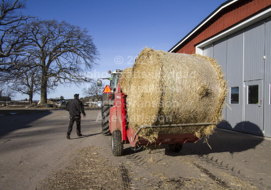 Halm och strö